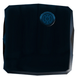 BL's Hal R Arm R6