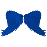 Blue Angel Wings