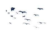 Blue Bats