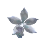 blue boat orchid 兰花 hair clip