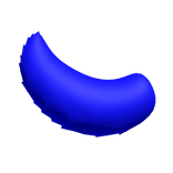 Blue Dog Tail