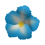 Blue flower