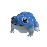 Blue Frog Suit