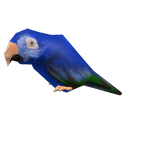 Blue Macaw