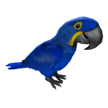 Blue Macaw Parrot Left Shoulder Pet