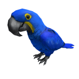Blue Macaw Parrot Sitting On Head