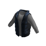 Blue Puffer Vest & Grey Shirt