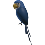 (Blue) Right Shoulder Parrot