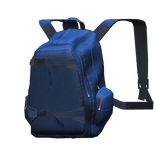 Blue Skater Backpack 1.0