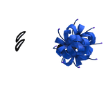 blue spider lily double hair clips #F3F