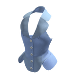 Blue Vest