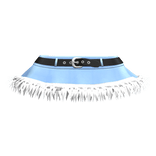 Blue Winter Fur Trim Skirt [1.0]