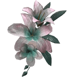 Blush Pink Tropical Summer Face Flower