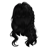 Braided Dyed Black Hair