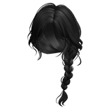 Braided Ponytail(Black)