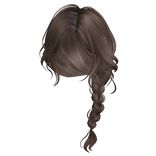 Braided Ponytail(Brown)