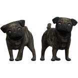 Brindle Pug Puppy Dog Duo Waist Pet