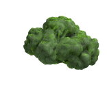 Broccoli Afro