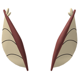 Brown and Beige Moth Antenna