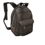 Brown Backpack 1.0
