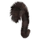 brown cat tail
