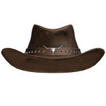 Brown Cowboy hat