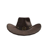 Brown Cowboy Hat