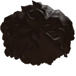 Brown Curly Fluffy Afro Hair