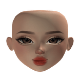 Brown Eye Blush Makeup Light