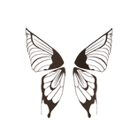 Brown Fairy wings of Elegance