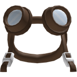Brown Goggles