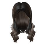 Brown Hair With Highlights