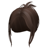 brown high ponytail hair