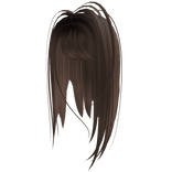 Brown layered fringe hair