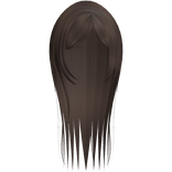 Brown Long Straight Hair W Curtain Bangs