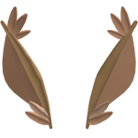 Brown Moth Antenna