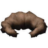 Brown Neck Fur Collar