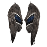 Brown Resting Bird Wings