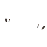 ⚜️•Brown Rich Freestyle French Nails