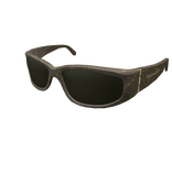 Brown Sleek Sunglasses