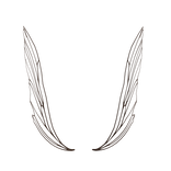 Brown Sophisticated Fairy Wings
