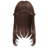 Brown Straight Hair W Bangs