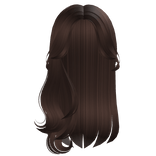 Brown Straight Long Hair