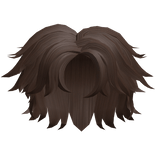 brown stylish boy hair