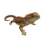 Brown/Tan Bearded Dragon Left Shoulder Pet