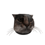 BuddyDaCat Hat