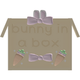 bunny in a box