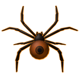 🎃Burning Halloween Spider