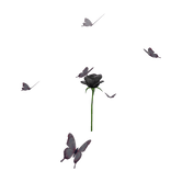 Butterfly aura black rose Hat