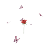 Butterfly aura Red rose Hat